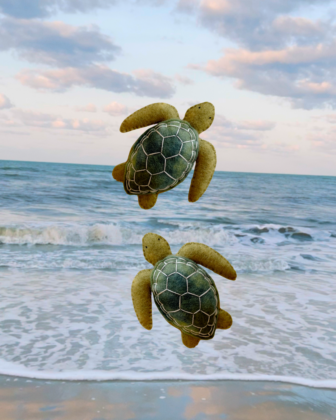 PRE-ORDER Green Sea Turtle