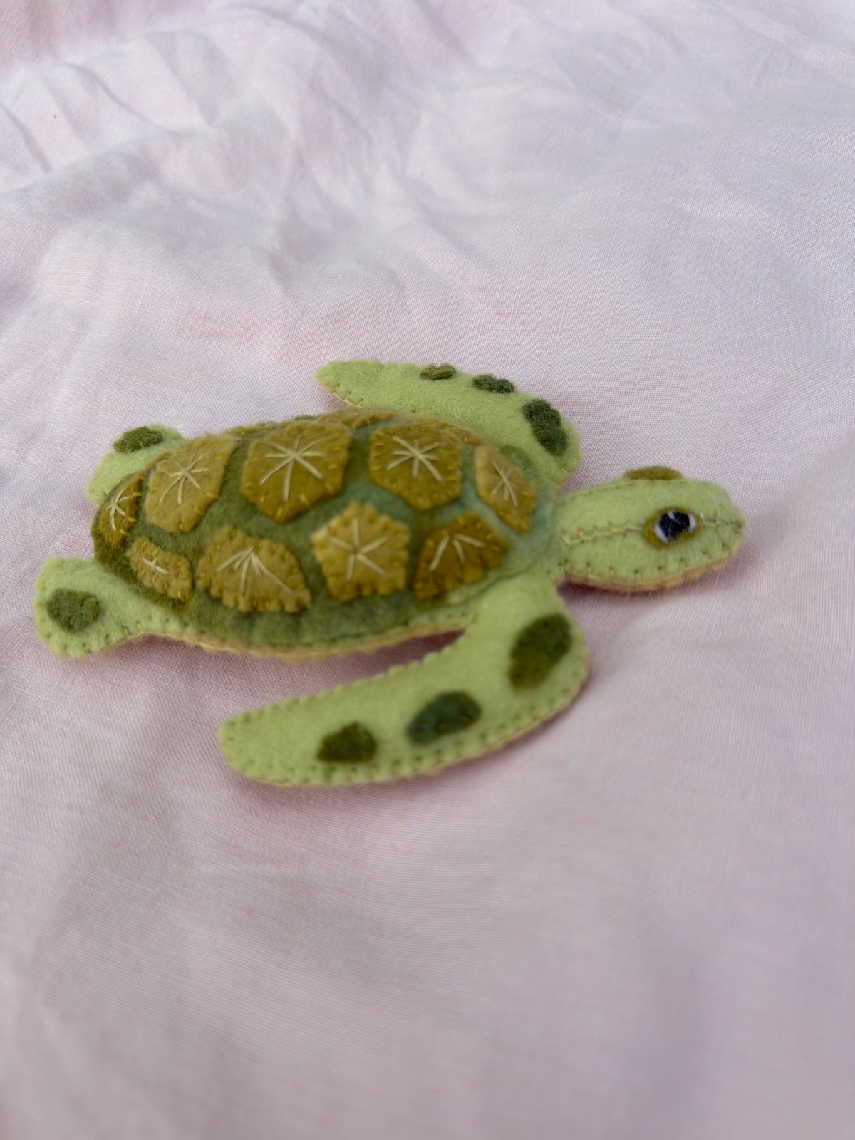 Green Sea Turtle 2