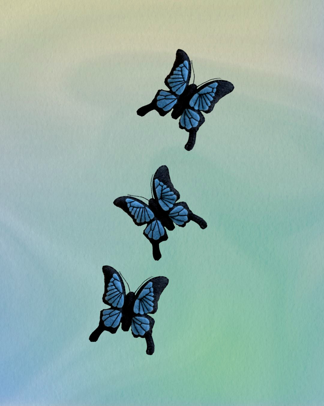 PRE-ORDER Ulysses Butterfly