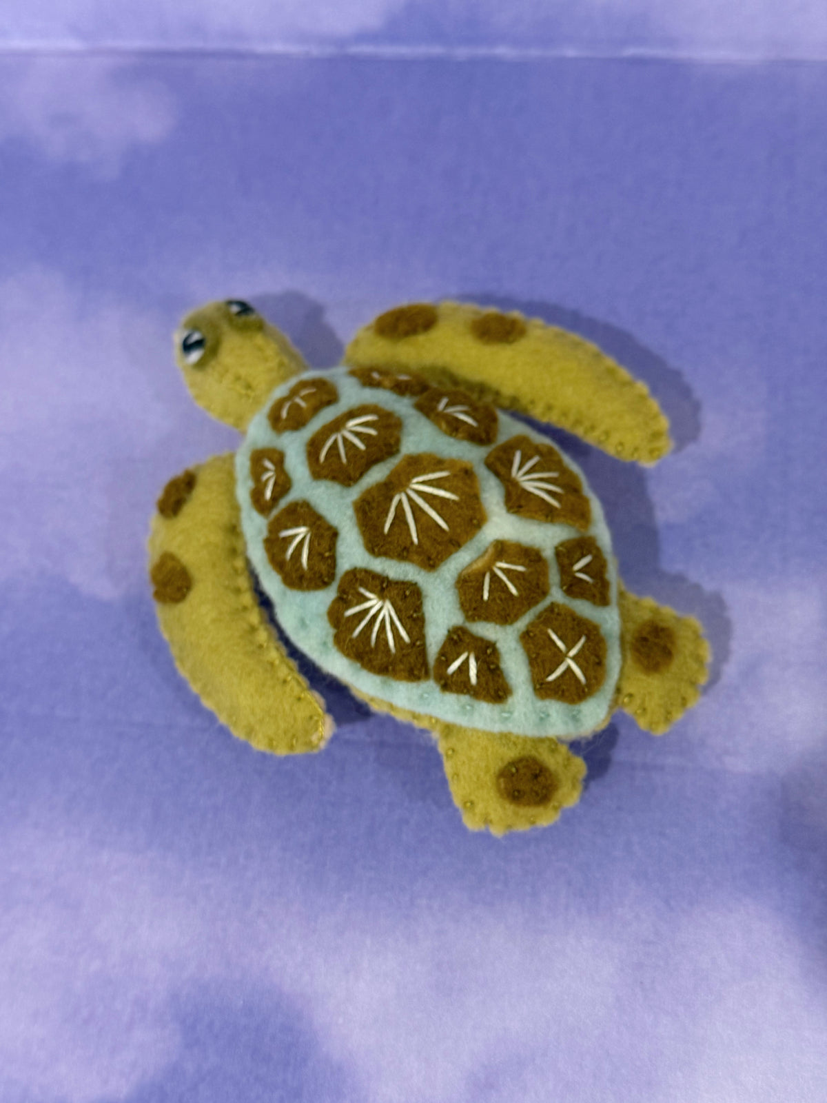 Green Sea Turtle #1