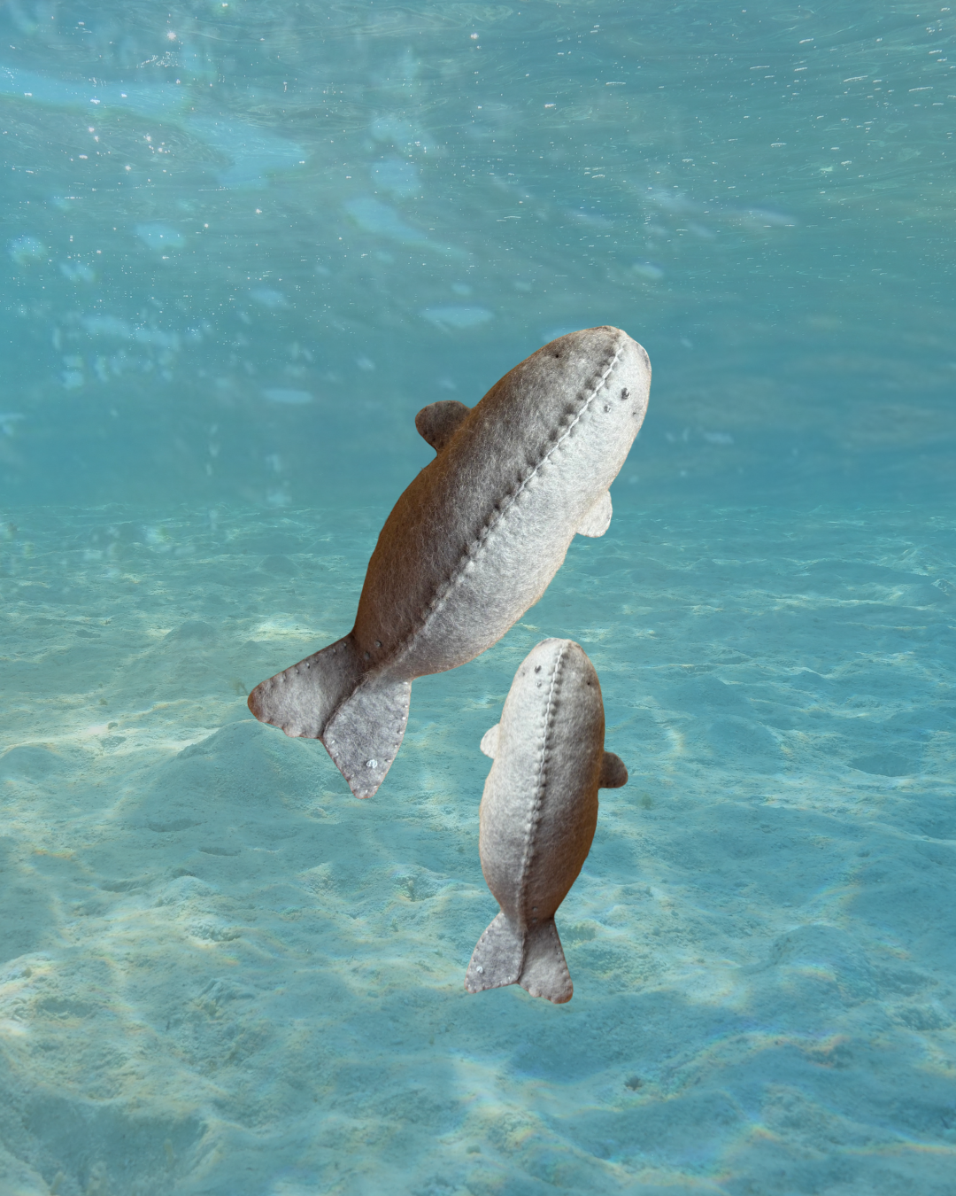 Dugong & Calf duo