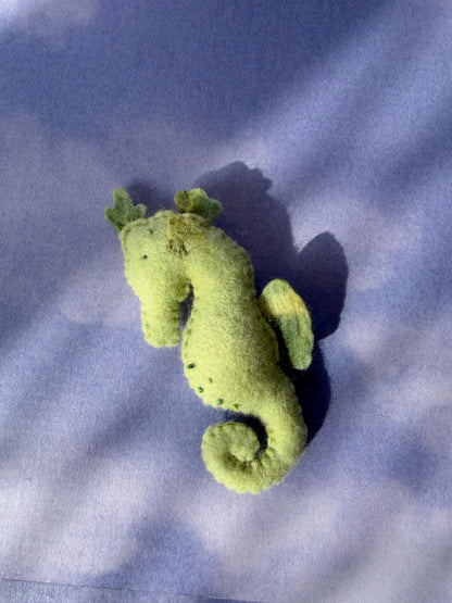 Seahorse #4