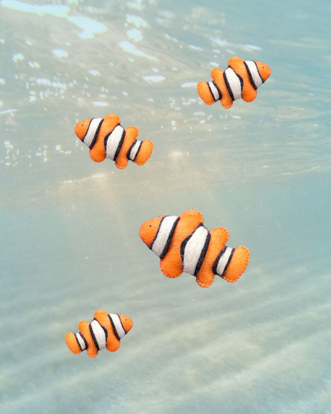 Clownfish