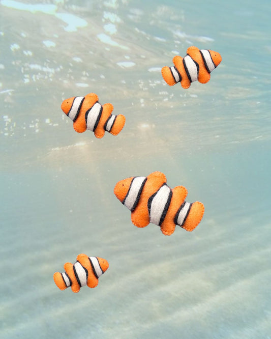 Clownfish