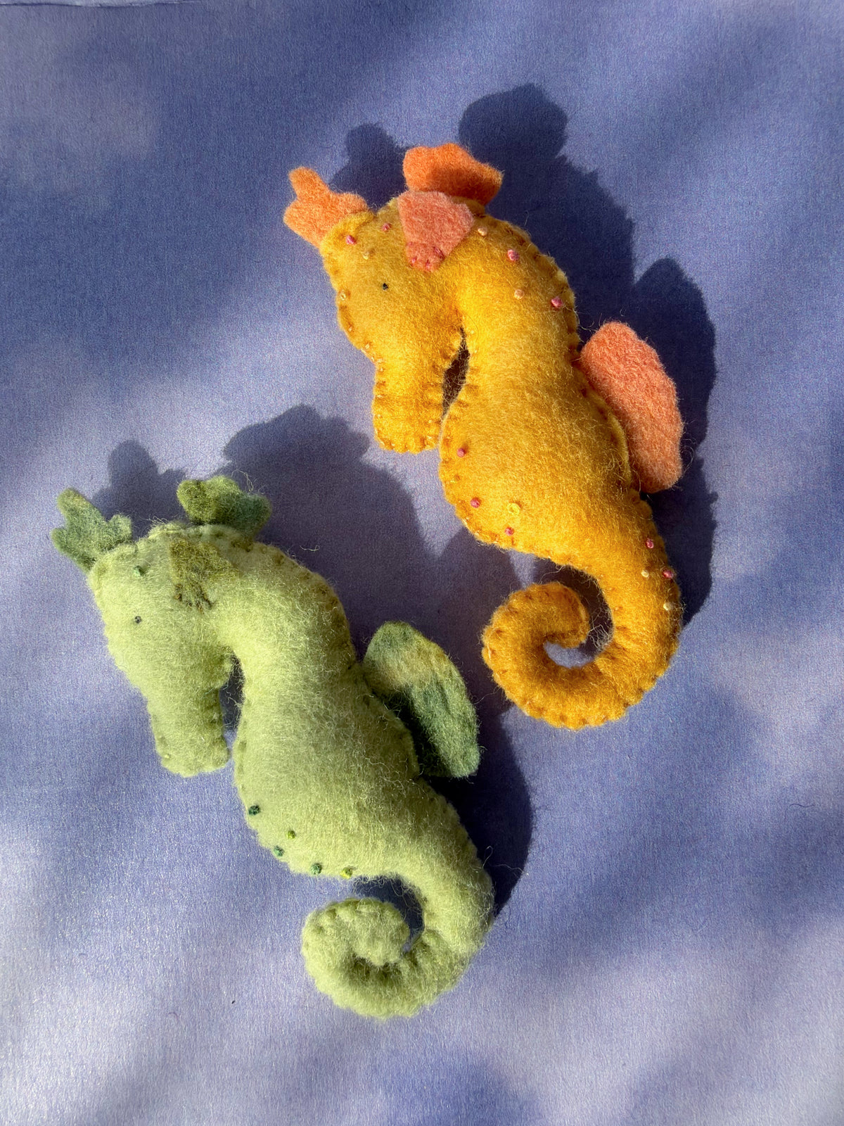 Seahorse #4