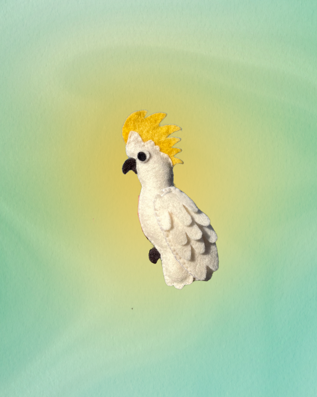 PRE-ORDER Sulphur-crested Cockatoo