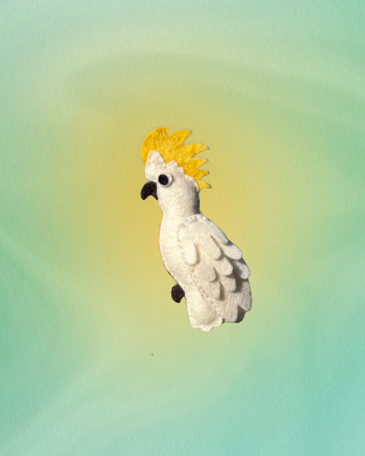 PRE-ORDER Sulphur-crested Cockatoo