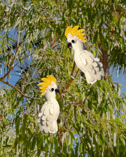PRE-ORDER Sulphur-crested Cockatoo