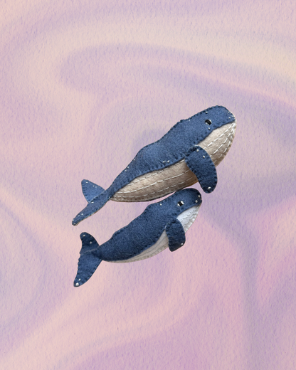Humpback Whale & Calf