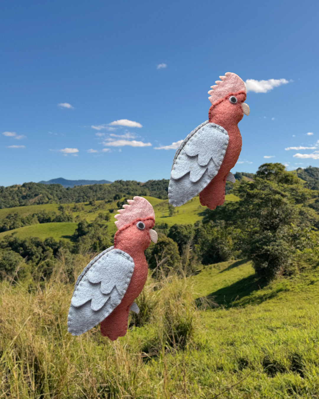 Pink Galah