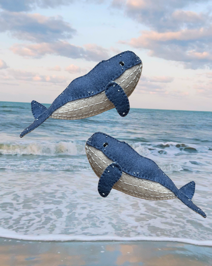 Humpback whale
