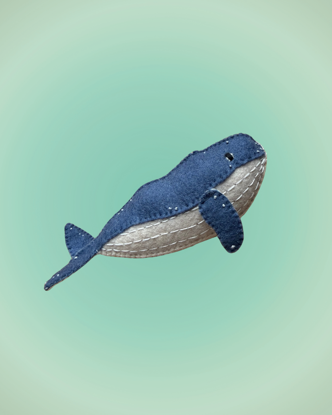 Humpback whale