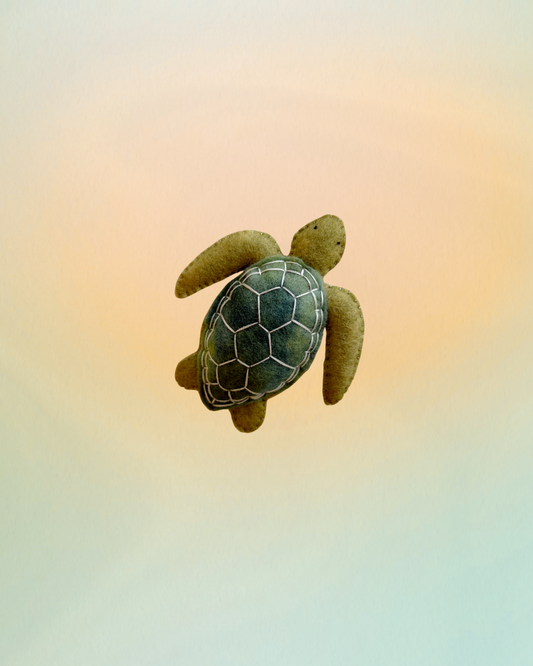 PRE-ORDER Green Sea Turtle