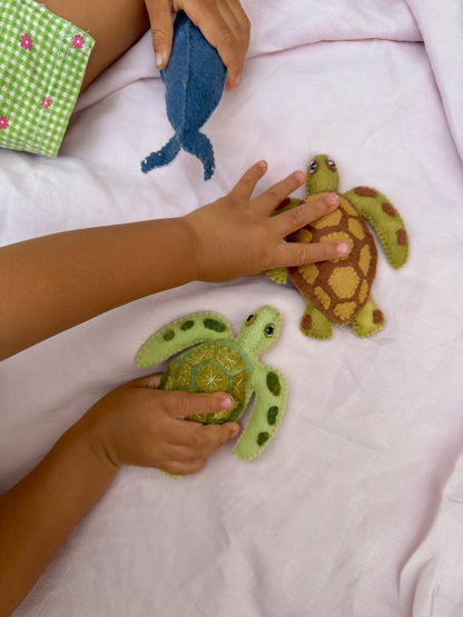 Green Sea Turtle 1