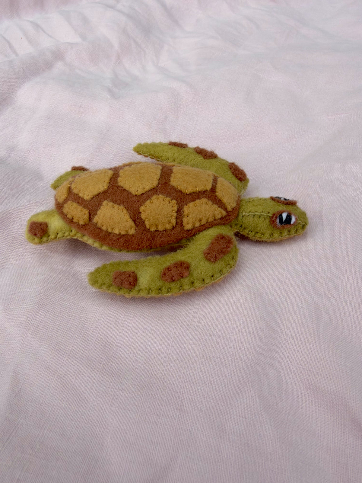 Green Sea Turtle 1