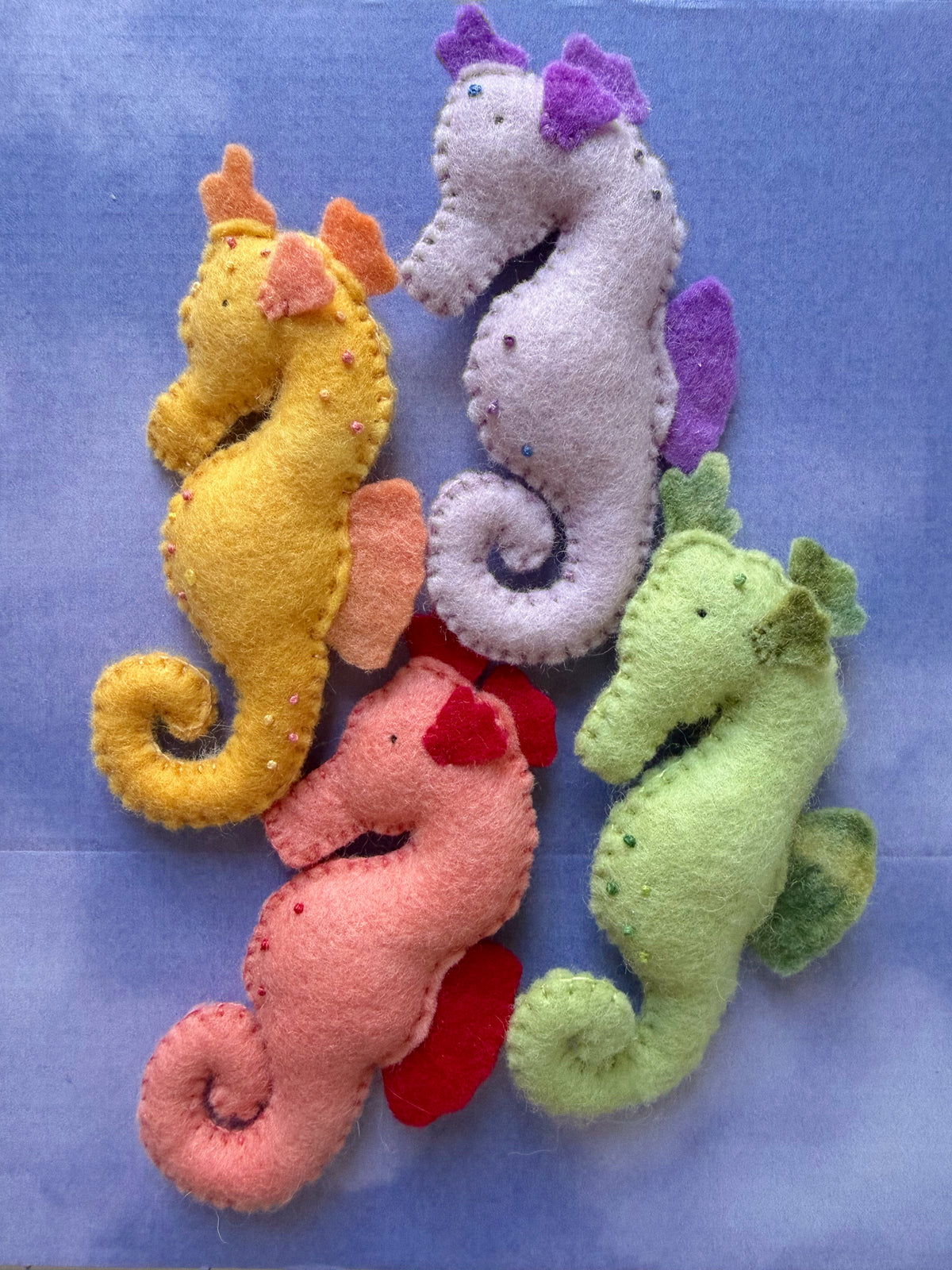 Seahorse #1