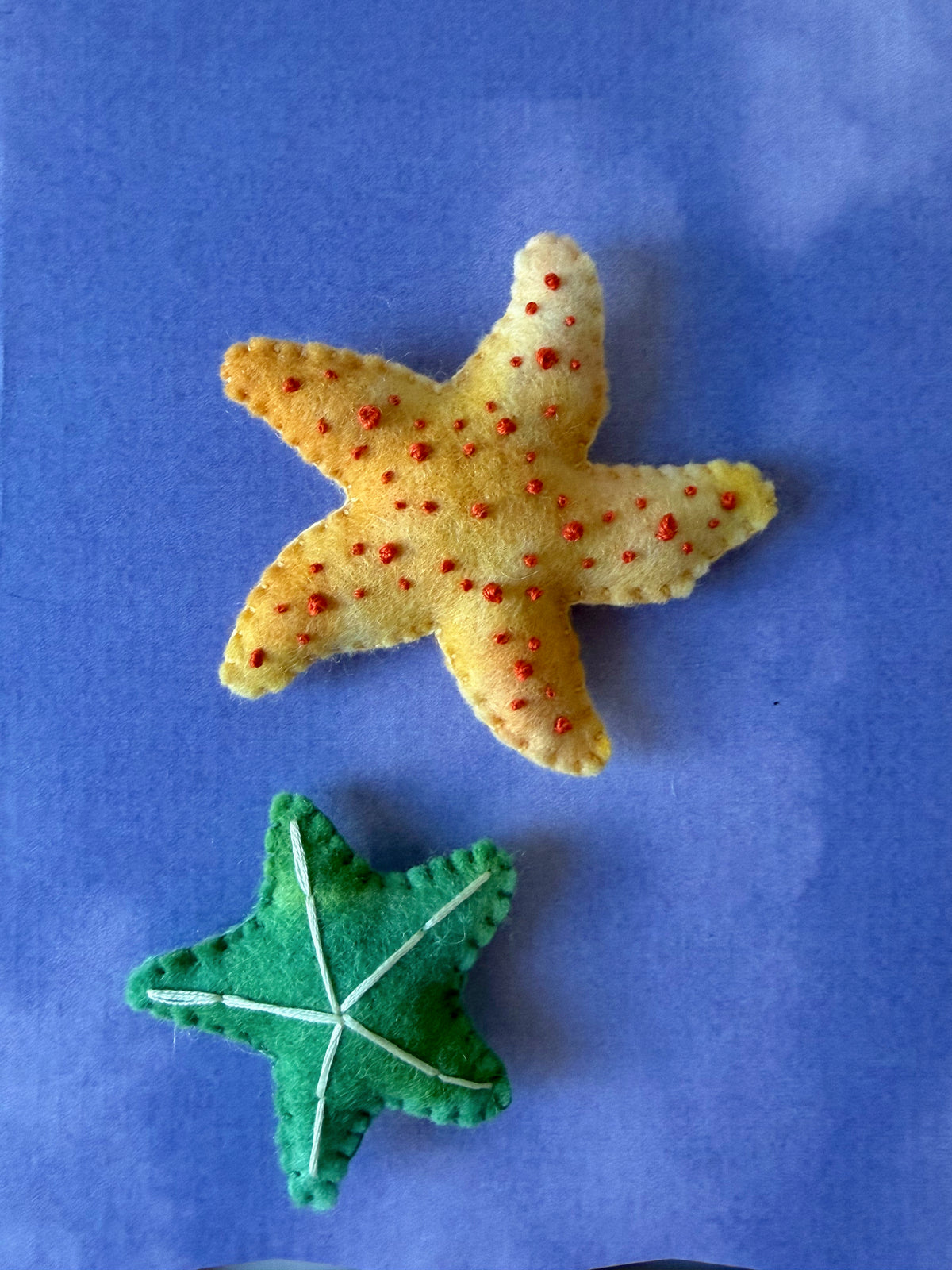 Starfish duo #1