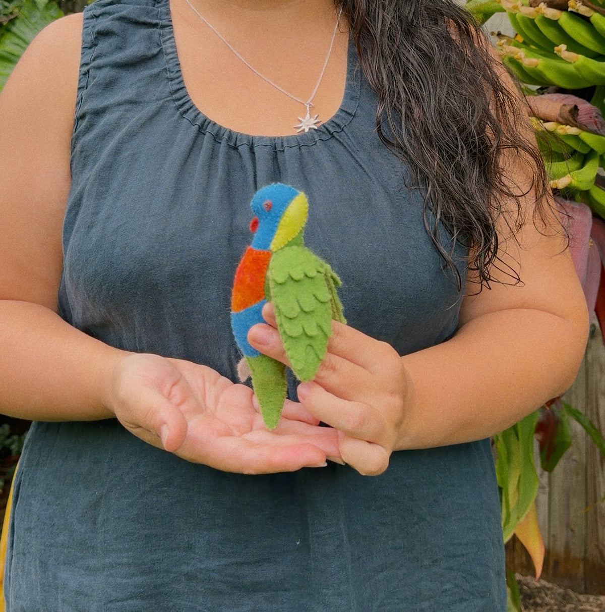Rainbow Lorikeet