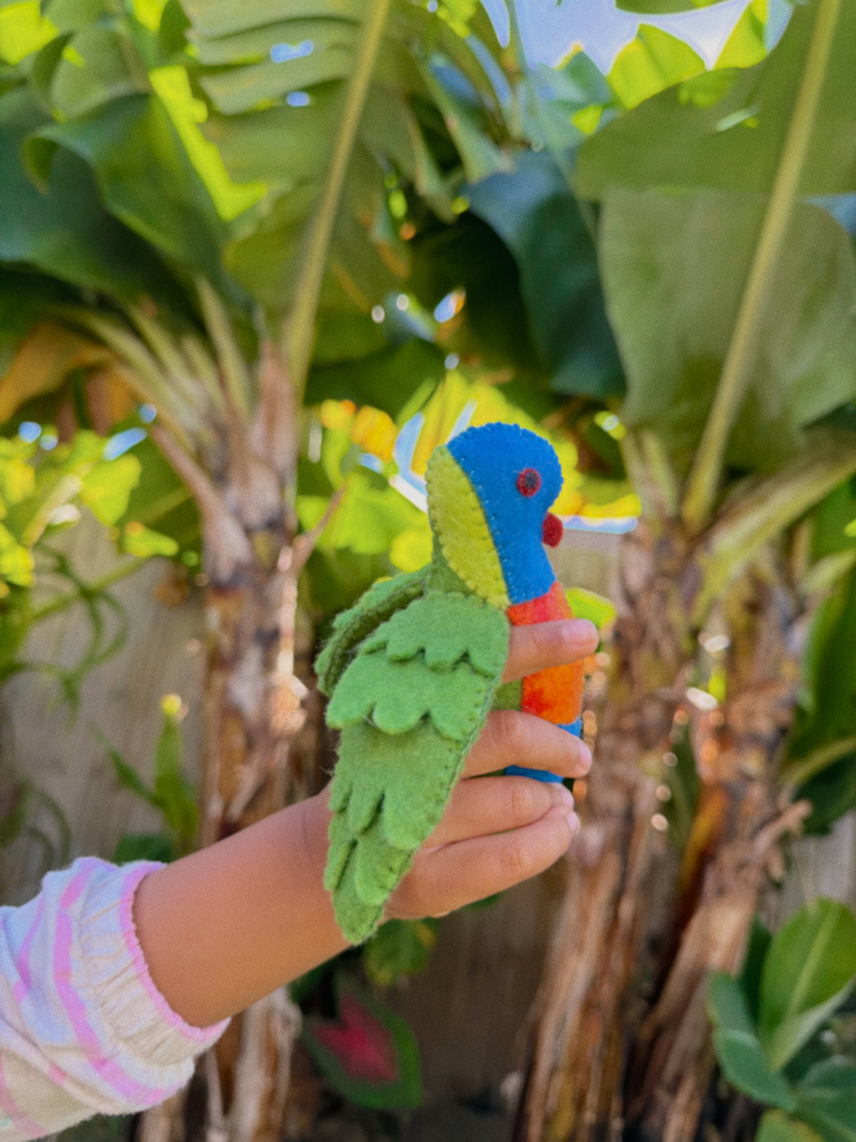 Rainbow Lorikeet