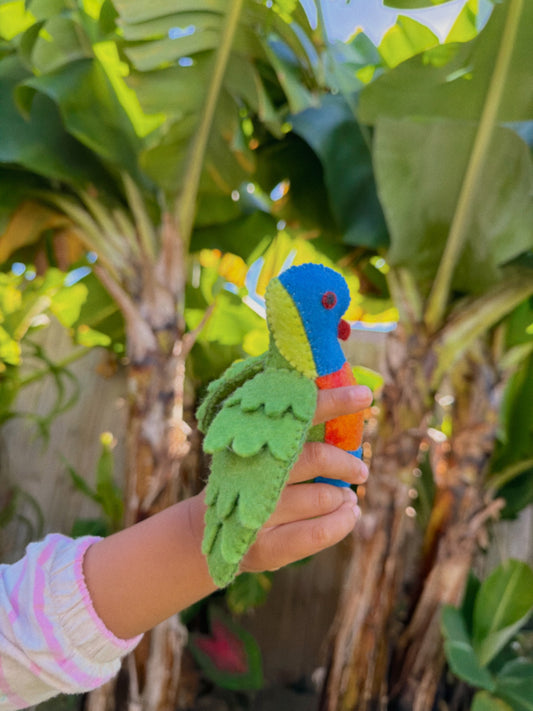 Rainbow Lorikeet