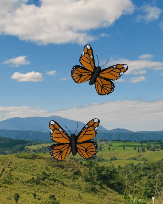 Monarch (Wanderer) Butterfly