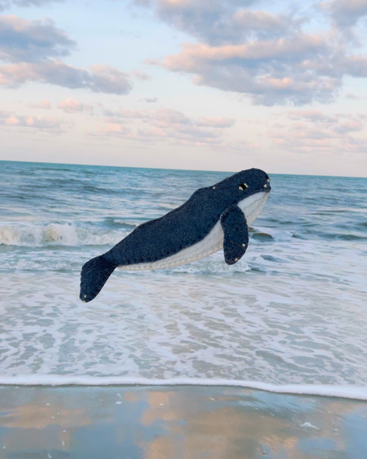 Humpback Whale Calf