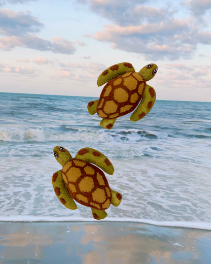 Green Sea Turtle 1